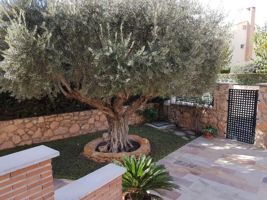 Chalet & Piscina-Jardin-Barbacoa Murcia Luaran gambar